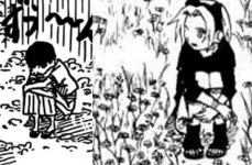 Naruto e Sakura Possibili cugini lontani? 2
